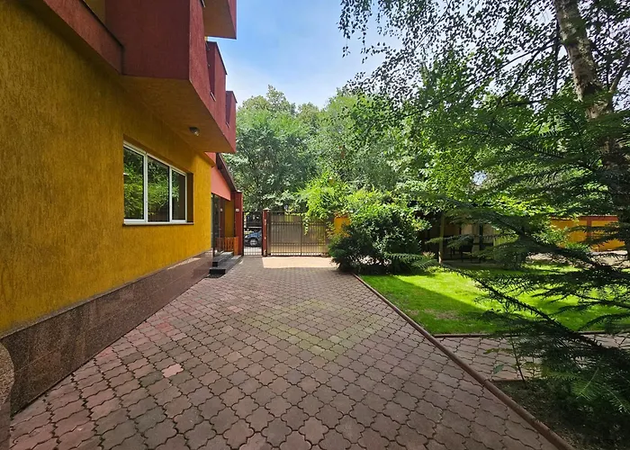 Simple National Arena Self Check In بوخارست